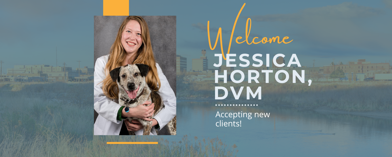 Welcome JEH